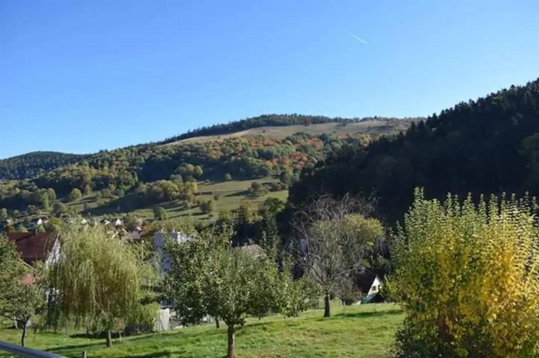 Les Locations De Stephanie ,Gite L'Arbre Vert Sondernach ภายนอก รูปภาพ