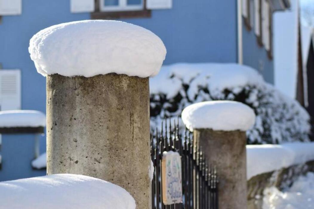 Les Locations De Stephanie ,Gite L'Arbre Vert Sondernach ภายนอก รูปภาพ