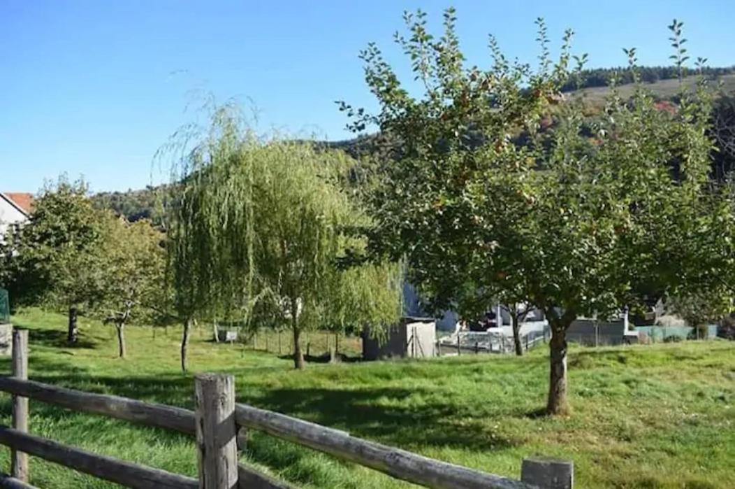 Les Locations De Stephanie ,Gite L'Arbre Vert Sondernach ภายนอก รูปภาพ