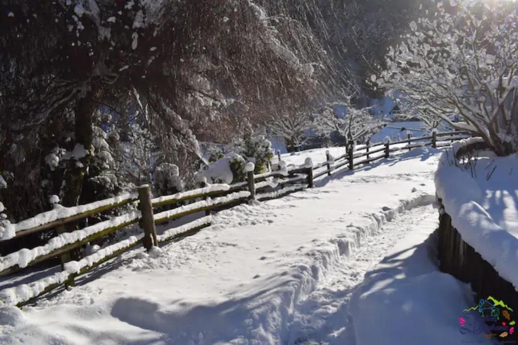 Les Locations De Stephanie ,Gite L'Arbre Vert Sondernach ภายนอก รูปภาพ