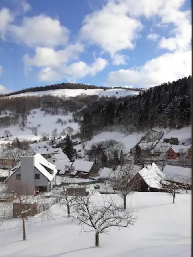 Les Locations De Stephanie ,Gite L'Arbre Vert Sondernach ภายนอก รูปภาพ