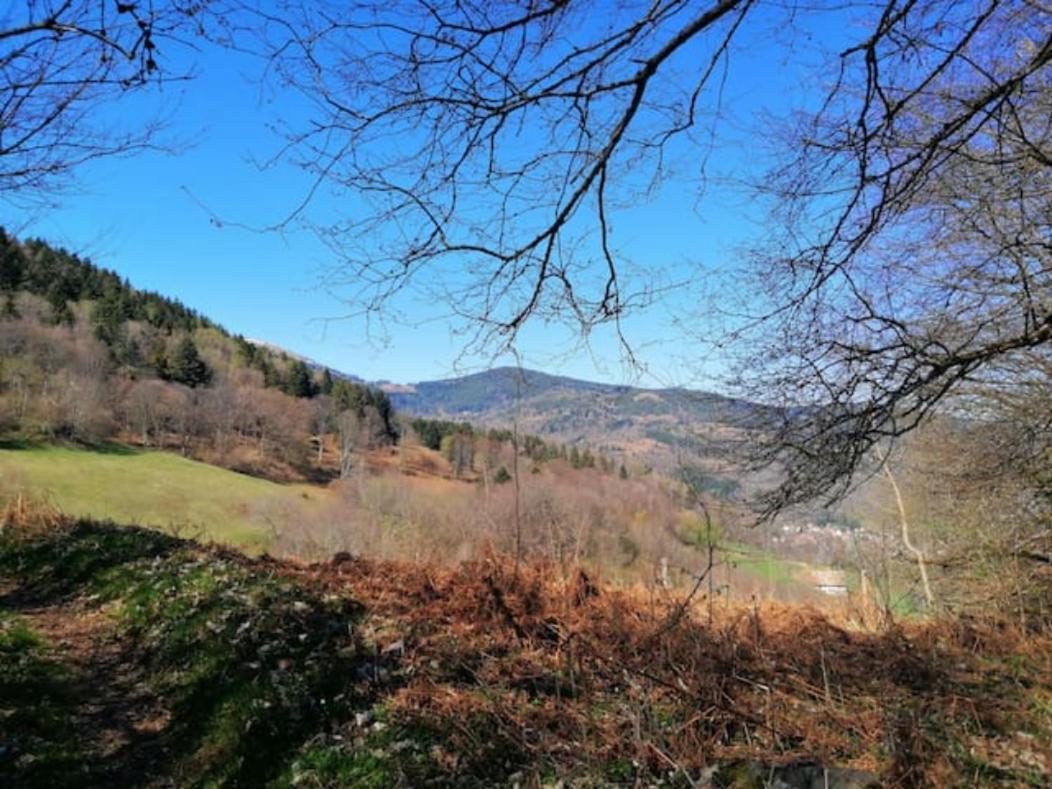 Les Locations De Stephanie ,Gite L'Arbre Vert Sondernach ภายนอก รูปภาพ