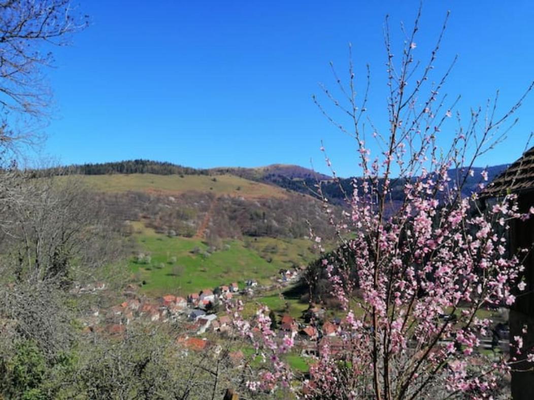 Les Locations De Stephanie ,Gite L'Arbre Vert Sondernach ภายนอก รูปภาพ