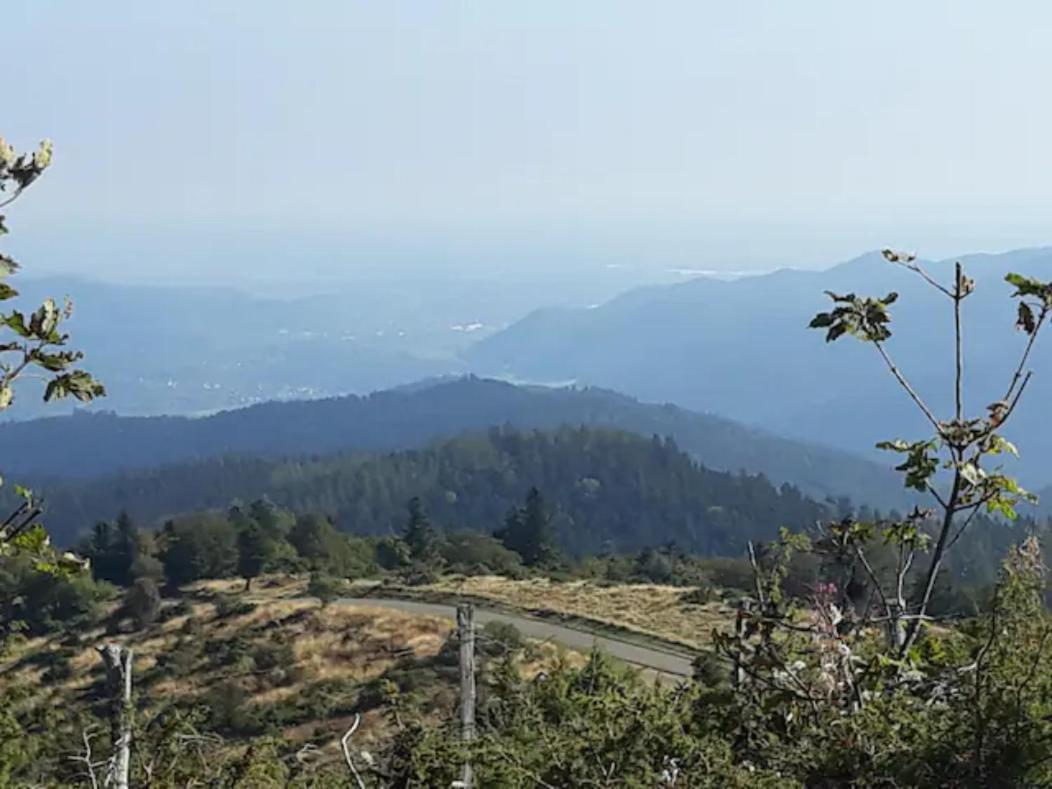 Les Locations De Stephanie ,Gite L'Arbre Vert Sondernach ภายนอก รูปภาพ