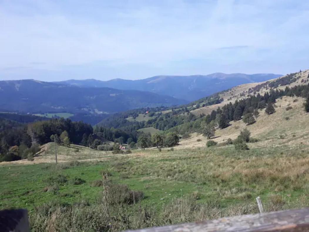 Les Locations De Stephanie ,Gite L'Arbre Vert Sondernach ภายนอก รูปภาพ
