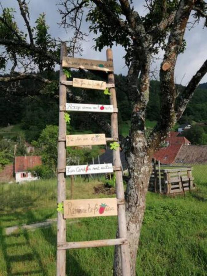Les Locations De Stephanie ,Gite L'Arbre Vert Sondernach ภายนอก รูปภาพ