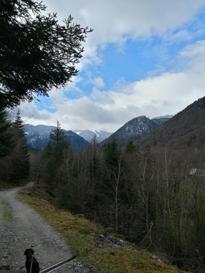 Les Locations De Stephanie ,Gite L'Arbre Vert Sondernach ภายนอก รูปภาพ