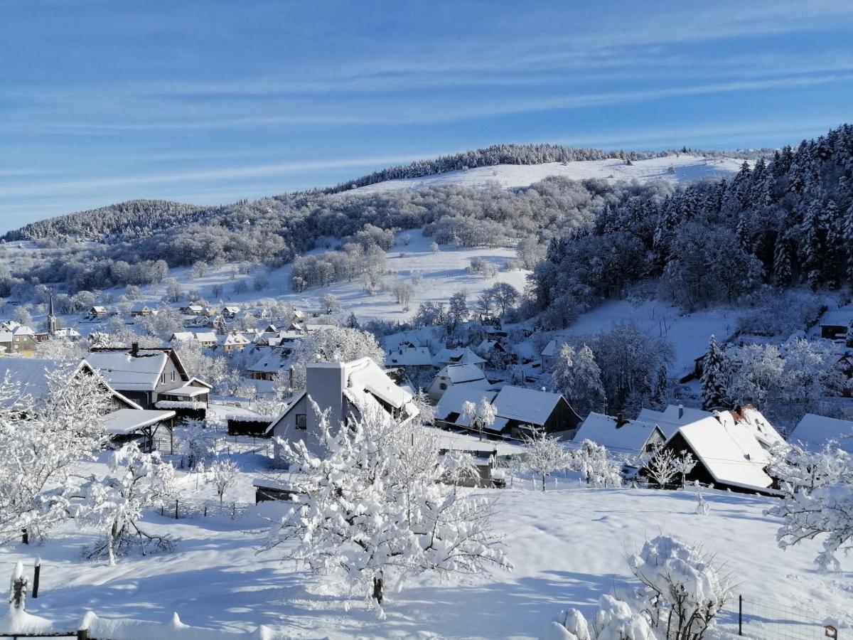 Les Locations De Stephanie ,Gite L'Arbre Vert Sondernach ภายนอก รูปภาพ